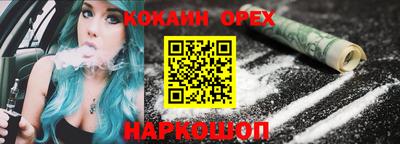 гашик Моздок