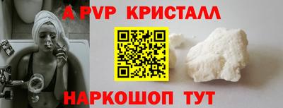 гашик Моздок