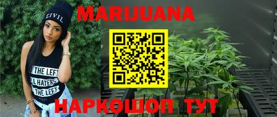 гашик Моздок
