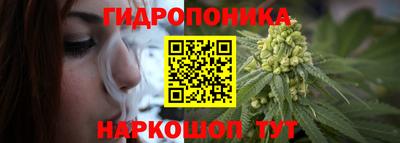 a pvp Можга