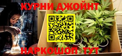 a pvp Можга