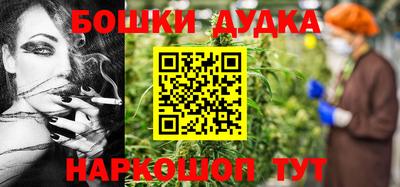 гашик Моздок