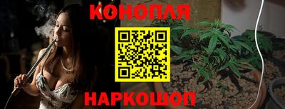 a pvp Можга