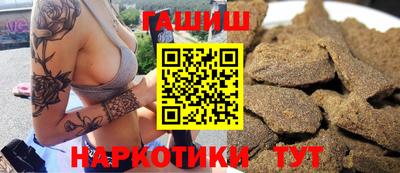 гашик Моздок