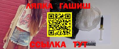 гашик Моздок
