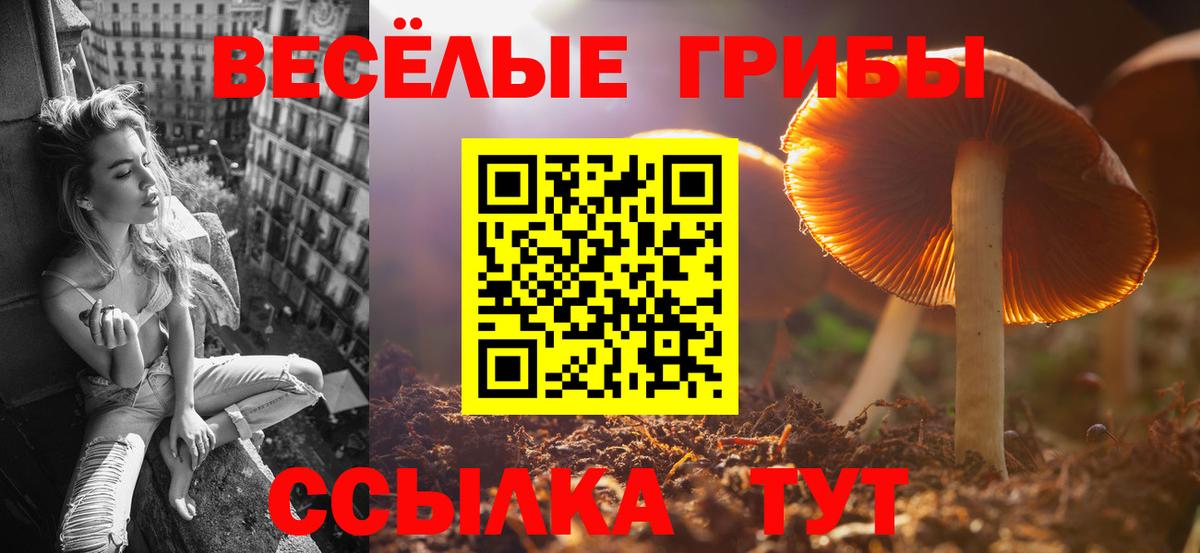 Великий Новгород  Псилоцибиновые грибы Cubensis  Вход с VPN 