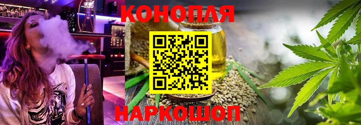 Каннабис OG Kush Великий Новгород
